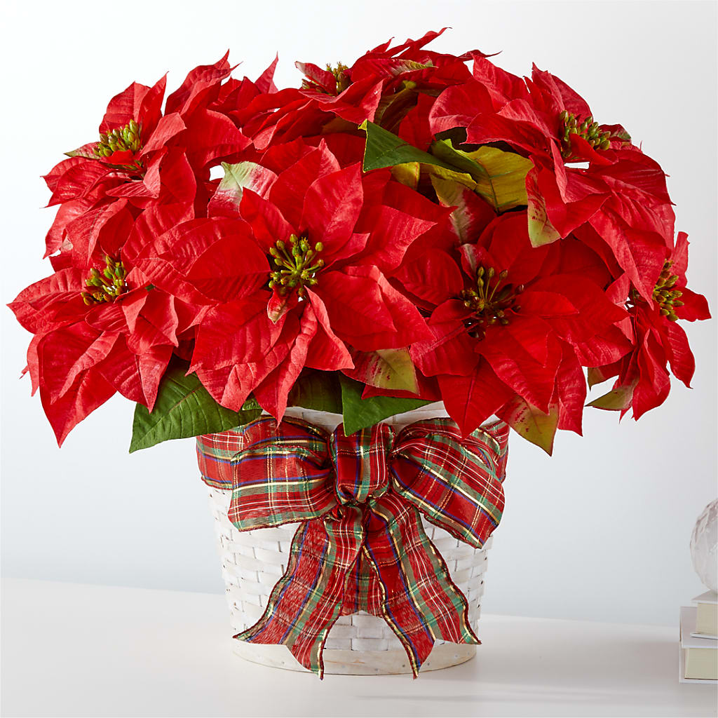 Happiest Holidays Poinsettia – MOSER'S SUPERMARKET, Columbia MO