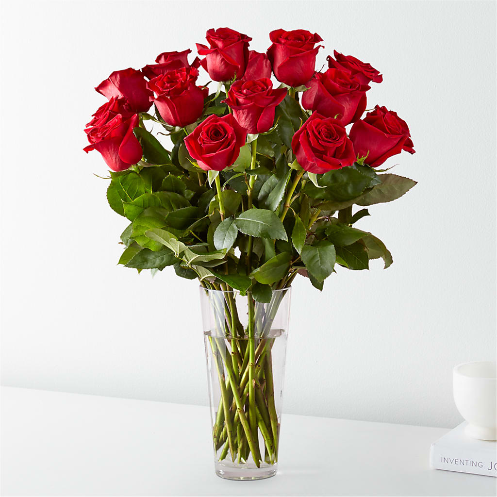 Long Stem Red Rose Bouquet – MOSER'S SUPERMARKET, Columbia MO