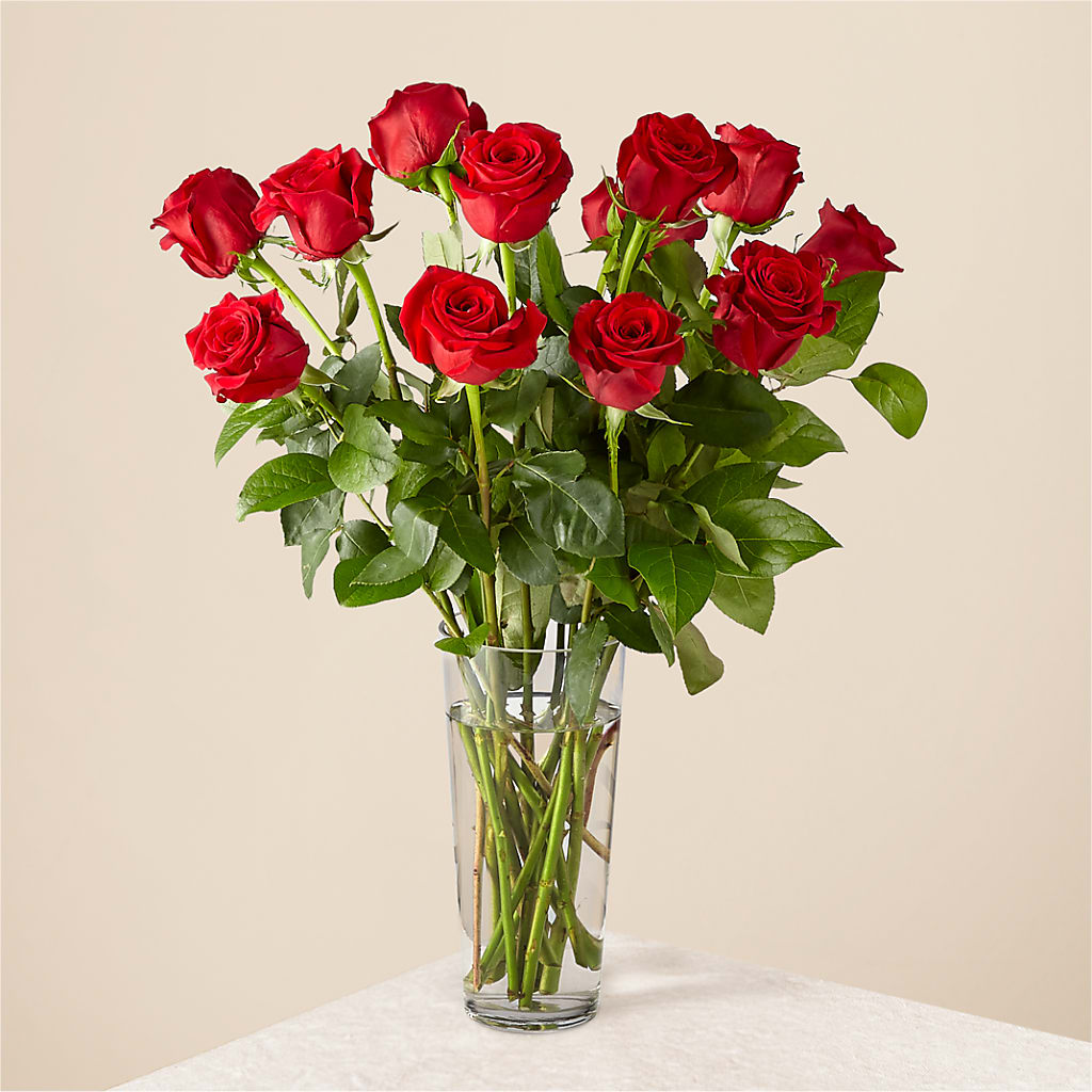Long Stem Red Rose Bouquet – MOSER'S SUPERMARKET, Columbia MO