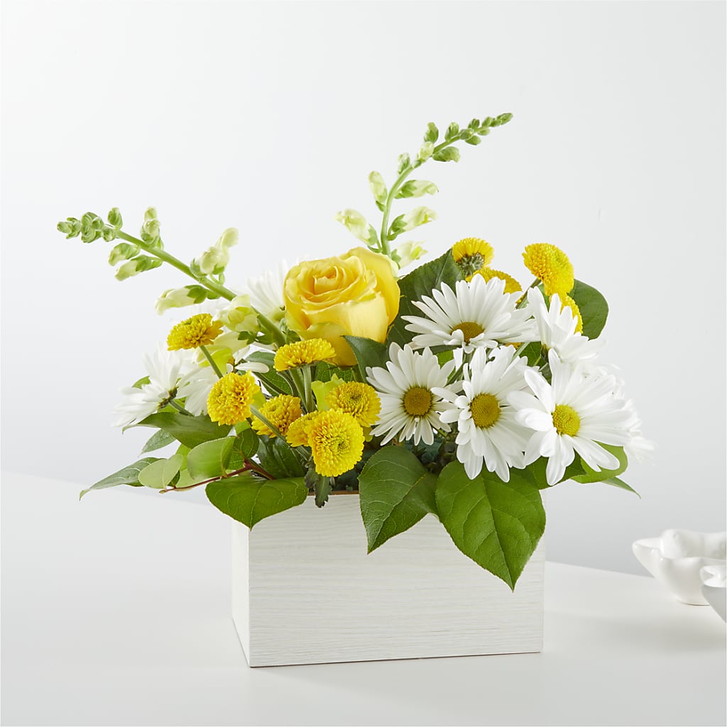 Sun Salutation Box Bouquet – MOSER'S SUPERMARKET, Columbia MO