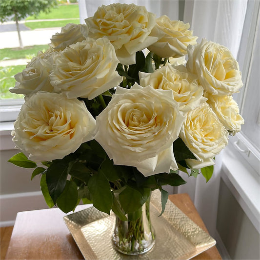 Long Stem Yellow Rose Bouquet – MOSER'S SUPERMARKET, Columbia MO