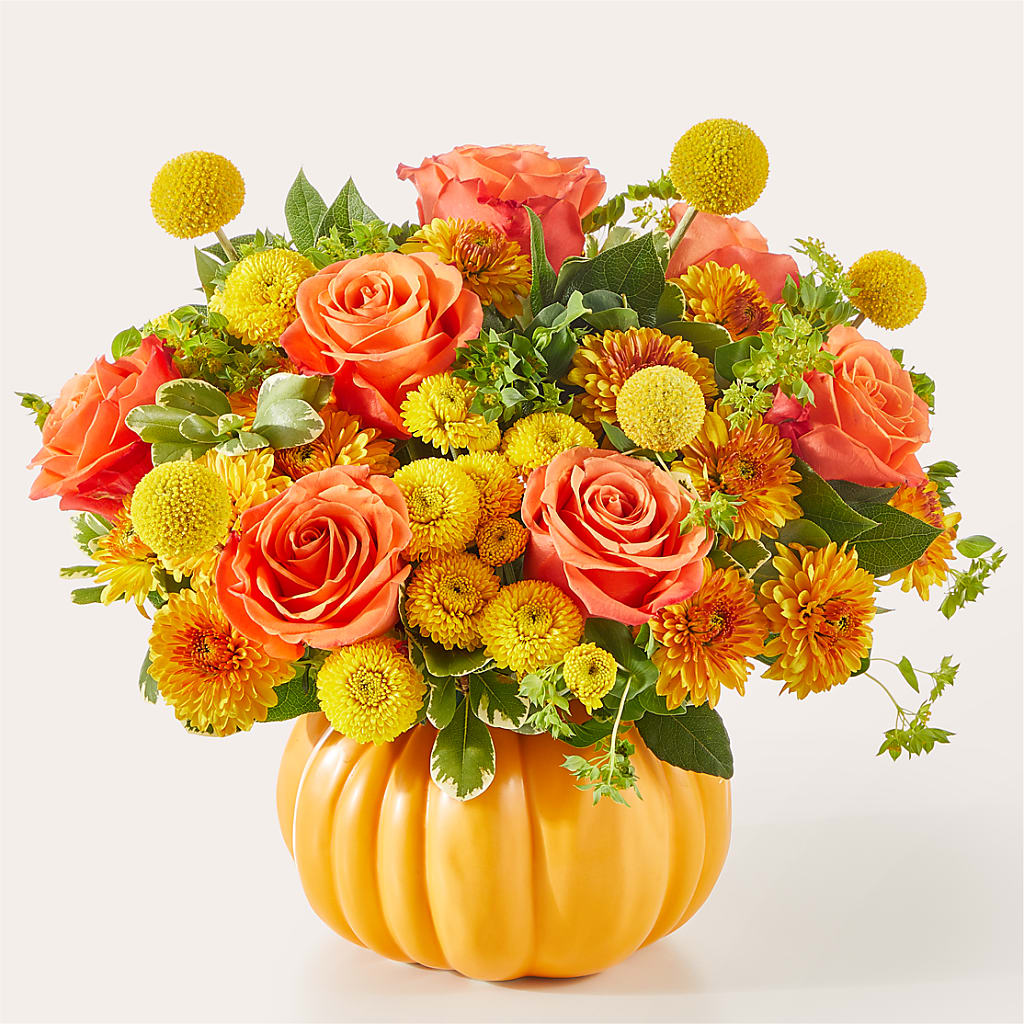 Gourdgeous Pumpkin – MOSER'S SUPERMARKET, Columbia MO