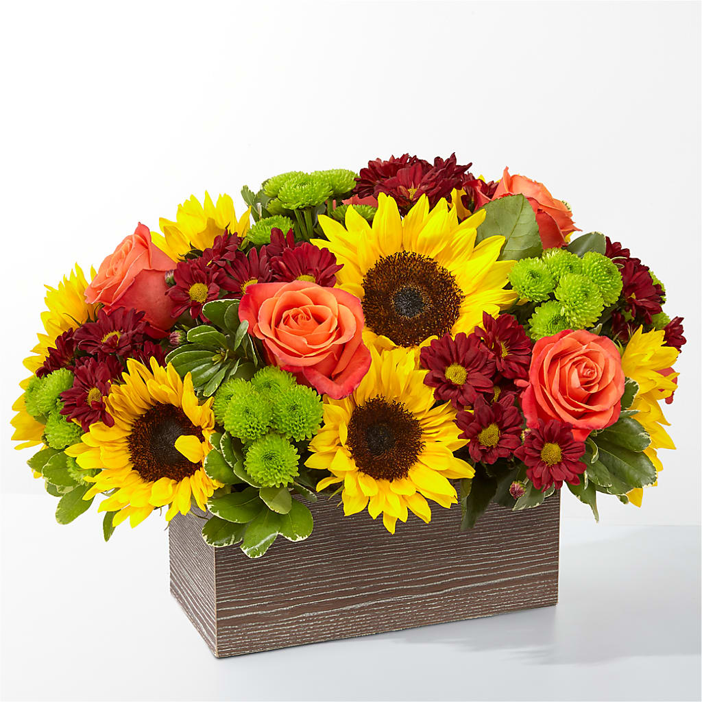 Happy Harvest Garden – MOSER'S SUPERMARKET, Columbia MO
