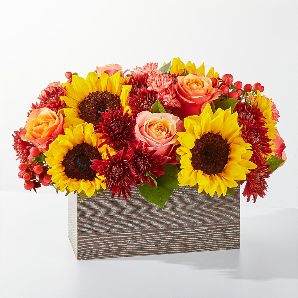 Fresh Cider Bouquet – MOSER'S SUPERMARKET, Columbia MO