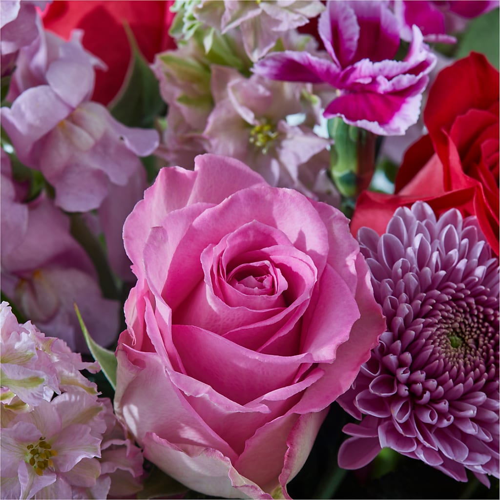 Better Together - A Luxury Florist Original – MOSER'S SUPERMARKET, Columbia MO
