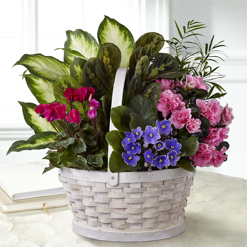 Peaceful Garden Planter – MOSER'S SUPERMARKET, Columbia MO