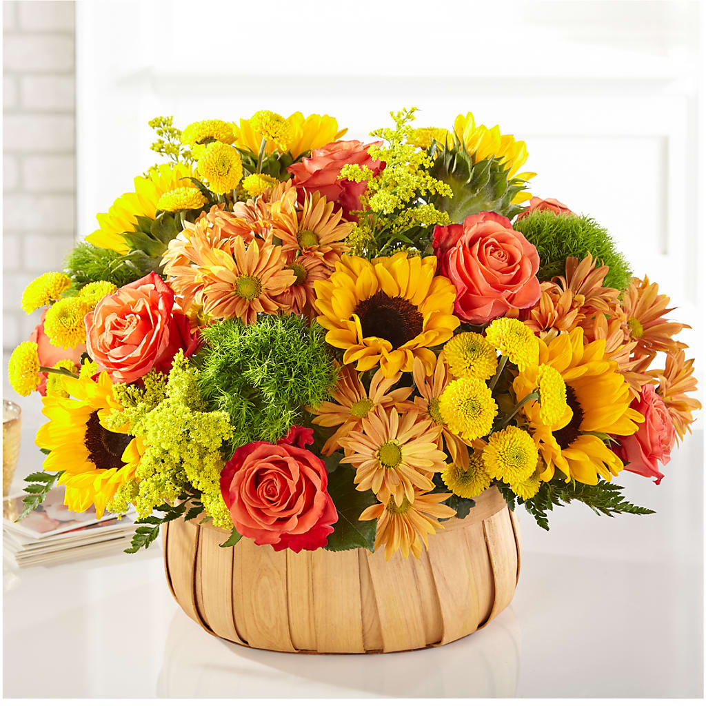Harvest Sunflower Basket – MOSER'S SUPERMARKET, Columbia MO