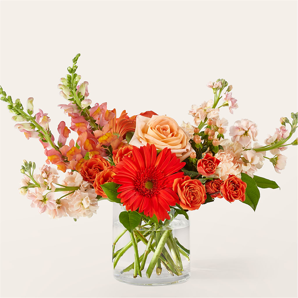Paloma Please Bouquet – MOSER'S SUPERMARKET, Columbia MO