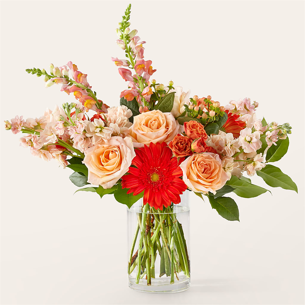 Paloma Please Bouquet – MOSER'S SUPERMARKET, Columbia MO