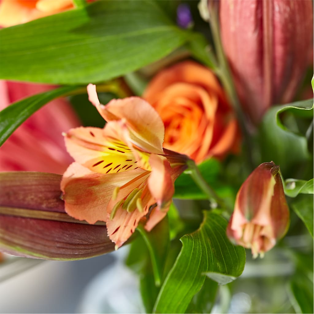 Bold & Bright – A Florist Original – MOSER'S SUPERMARKET, Columbia MO