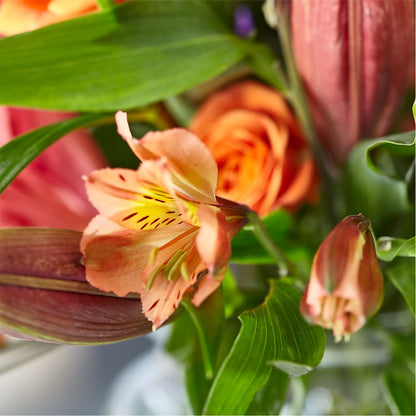 Bold & Bright – A Florist Original – MOSER'S SUPERMARKET, Columbia MO