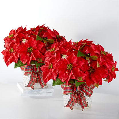 Happiest Holidays Poinsettia Bundle – MOSER'S SUPERMARKET, Columbia MO