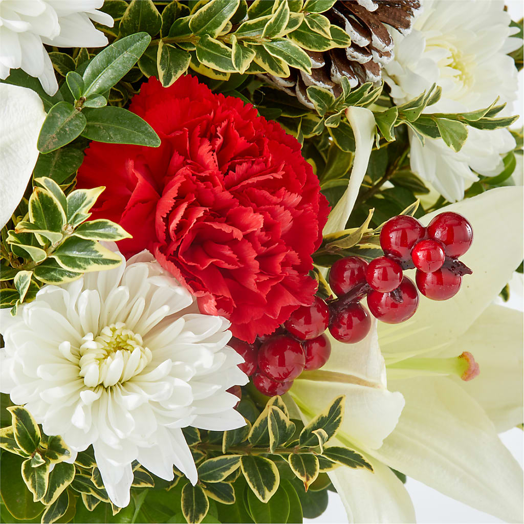 Festive Moments Tree – MOSER'S SUPERMARKET, Columbia MO
