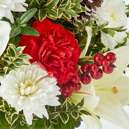 Festive Moments Tree – MOSER'S SUPERMARKET, Columbia MO