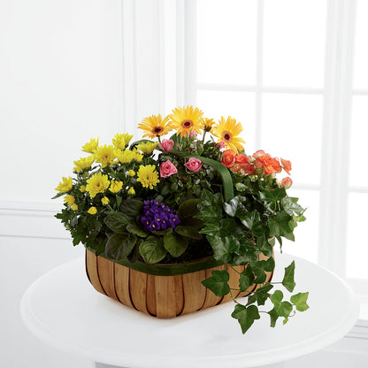 Gentle Blossoms Basket – MOSER'S SUPERMARKET, Columbia MO