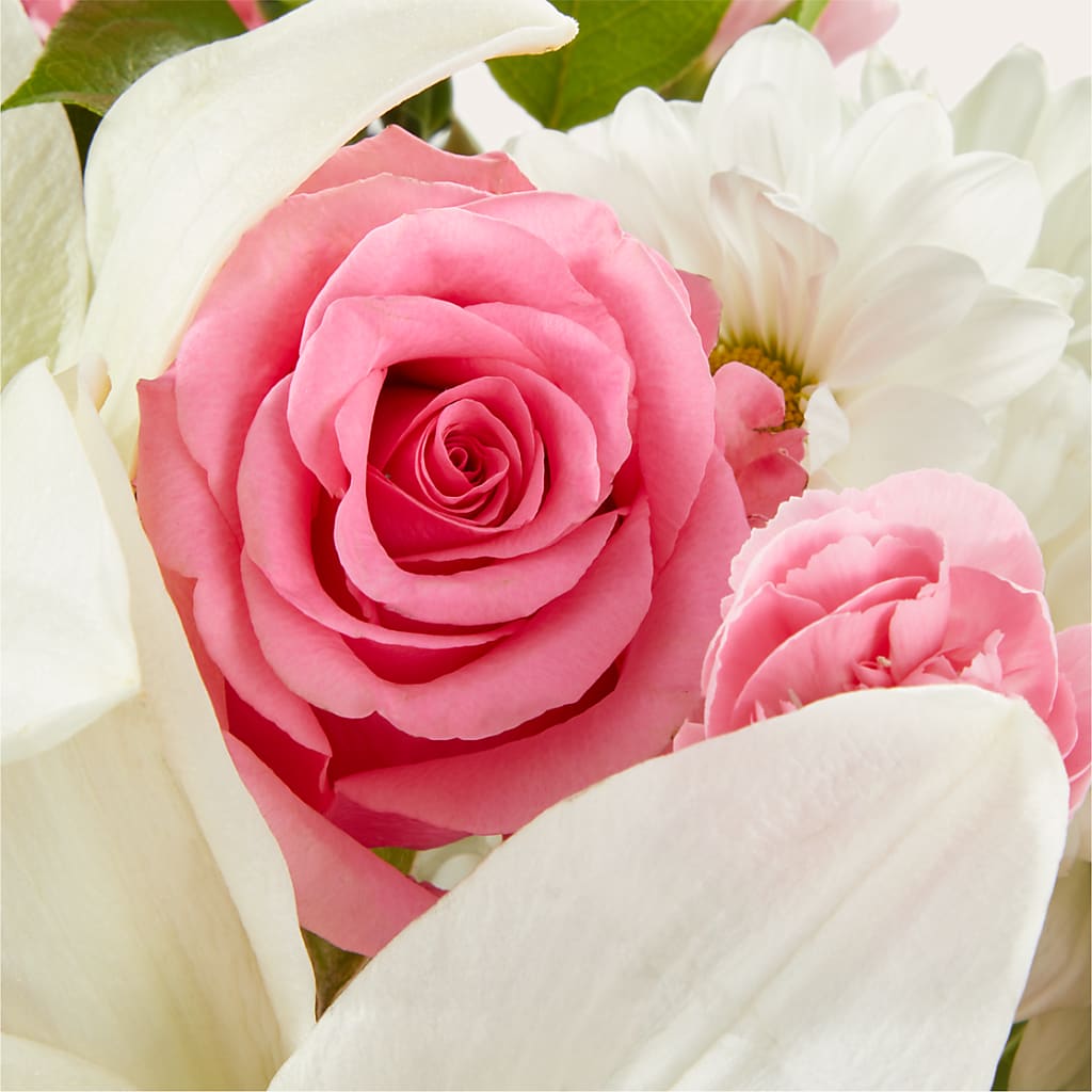 Whispers of Comfort Bouquet – MOSER'S SUPERMARKET, Columbia MO