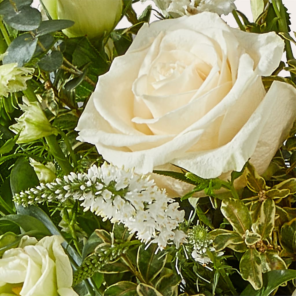 Cashmere Bouquet – MOSER'S SUPERMARKET, Columbia MO
