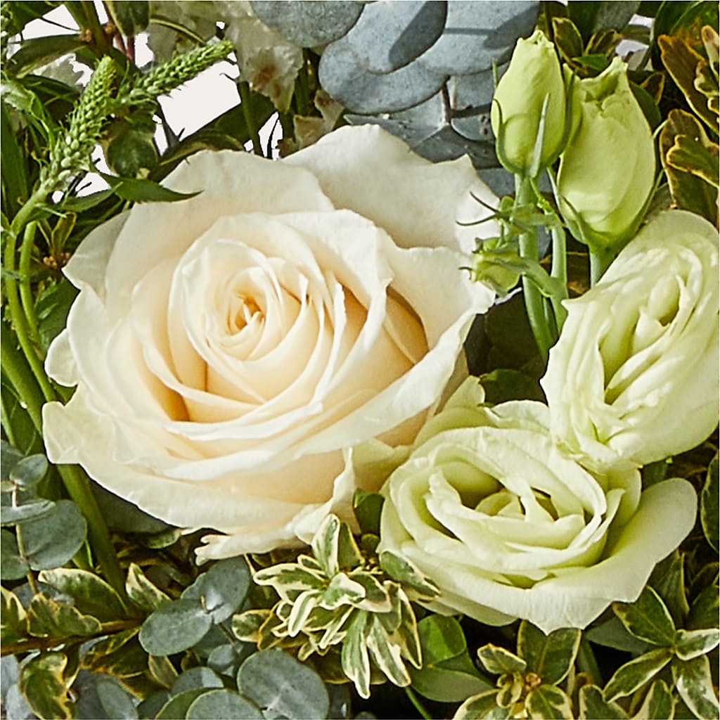Cashmere Bouquet – MOSER'S SUPERMARKET, Columbia MO