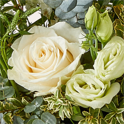 Cashmere Bouquet – MOSER'S SUPERMARKET, Columbia MO
