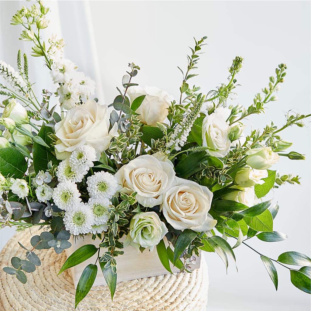 Cashmere Bouquet – MOSER'S SUPERMARKET, Columbia MO