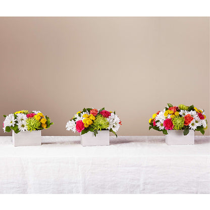Sorbet Bouquet – MOSER'S SUPERMARKET, Columbia MO