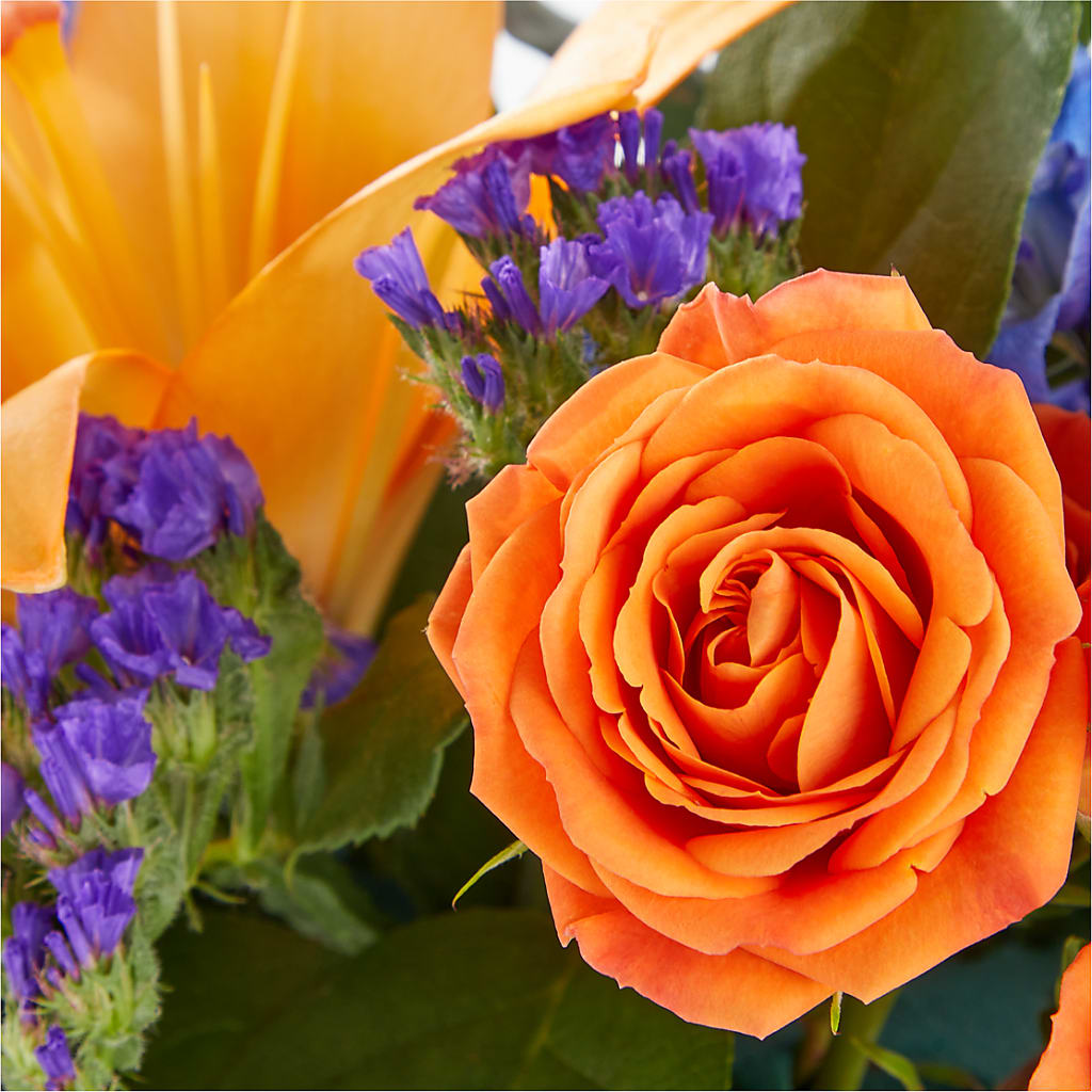 Radiant Citrus Box Bouquet – MOSER'S SUPERMARKET, Columbia MO