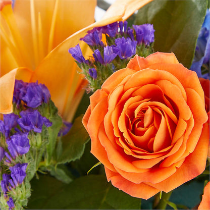 Radiant Citrus Box Bouquet – MOSER'S SUPERMARKET, Columbia MO
