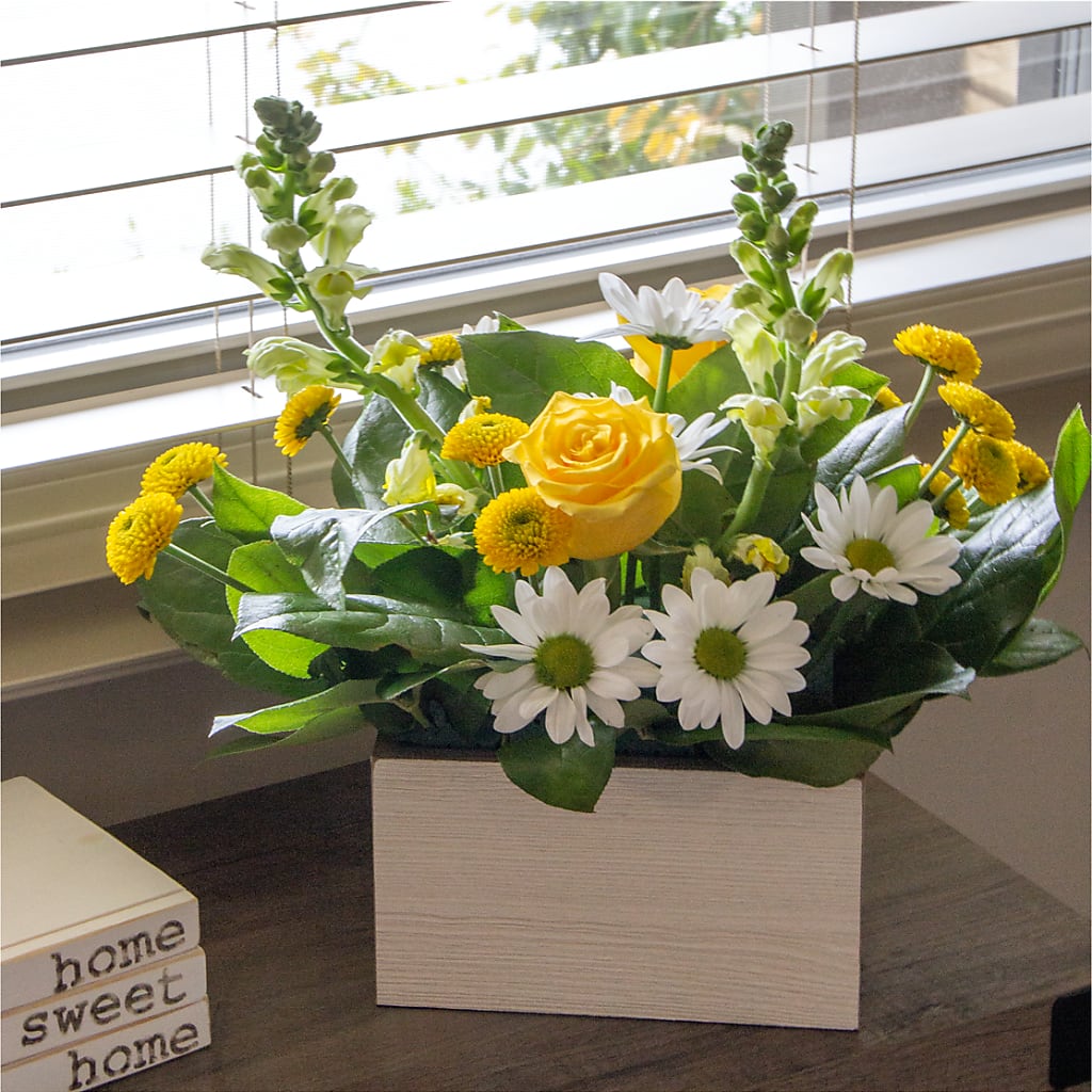 Sun Salutation Box Bouquet – MOSER'S SUPERMARKET, Columbia MO