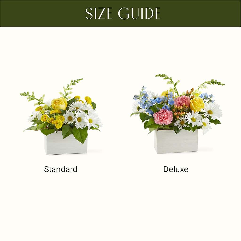 Sun Salutation Box Bouquet – MOSER'S SUPERMARKET, Columbia MO