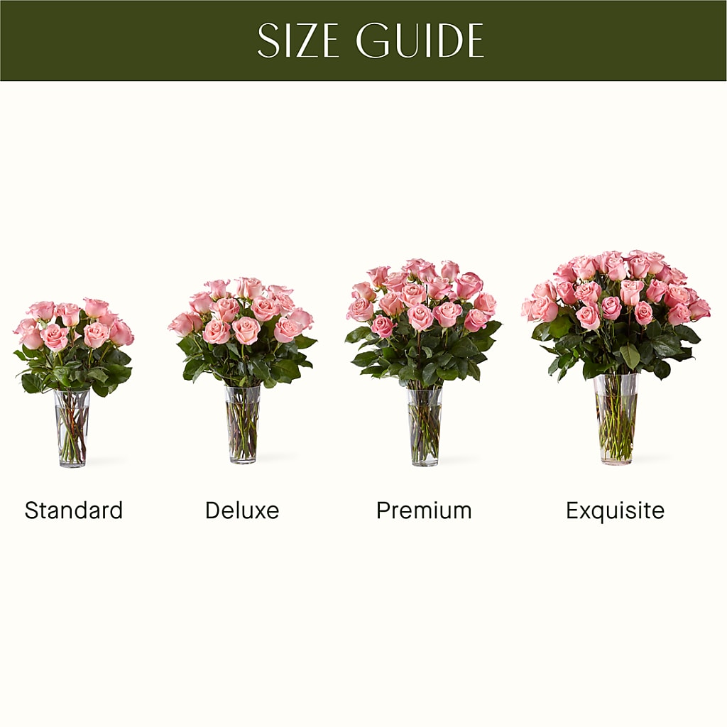 Long Stem Pink Rose Bouquet – MOSER'S SUPERMARKET, Columbia MO