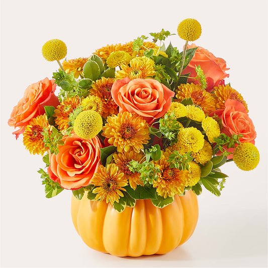Gourdgeous Pumpkin – MOSER'S SUPERMARKET, Columbia MO