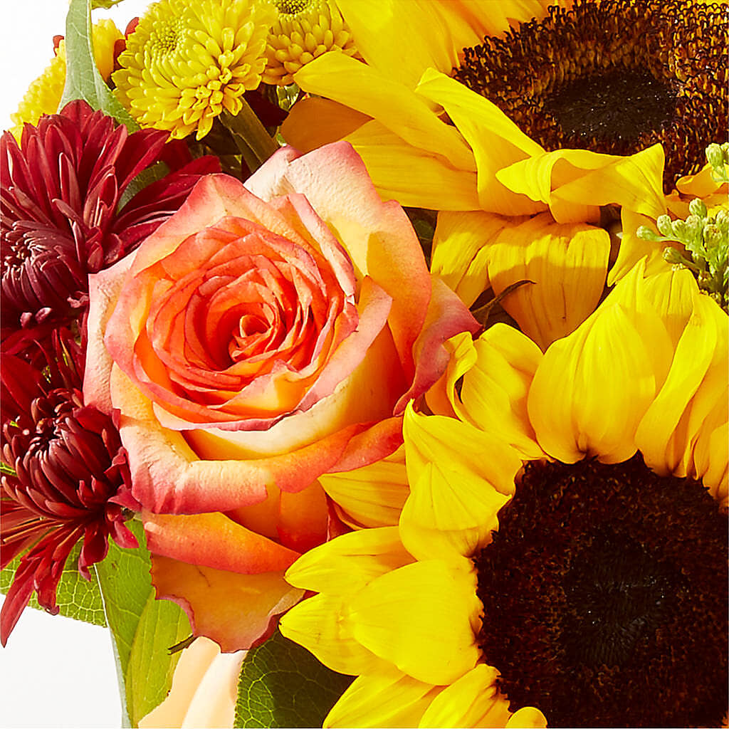 Golden Gourd Pumpkin Bouquet – MOSER'S SUPERMARKET, Columbia MO