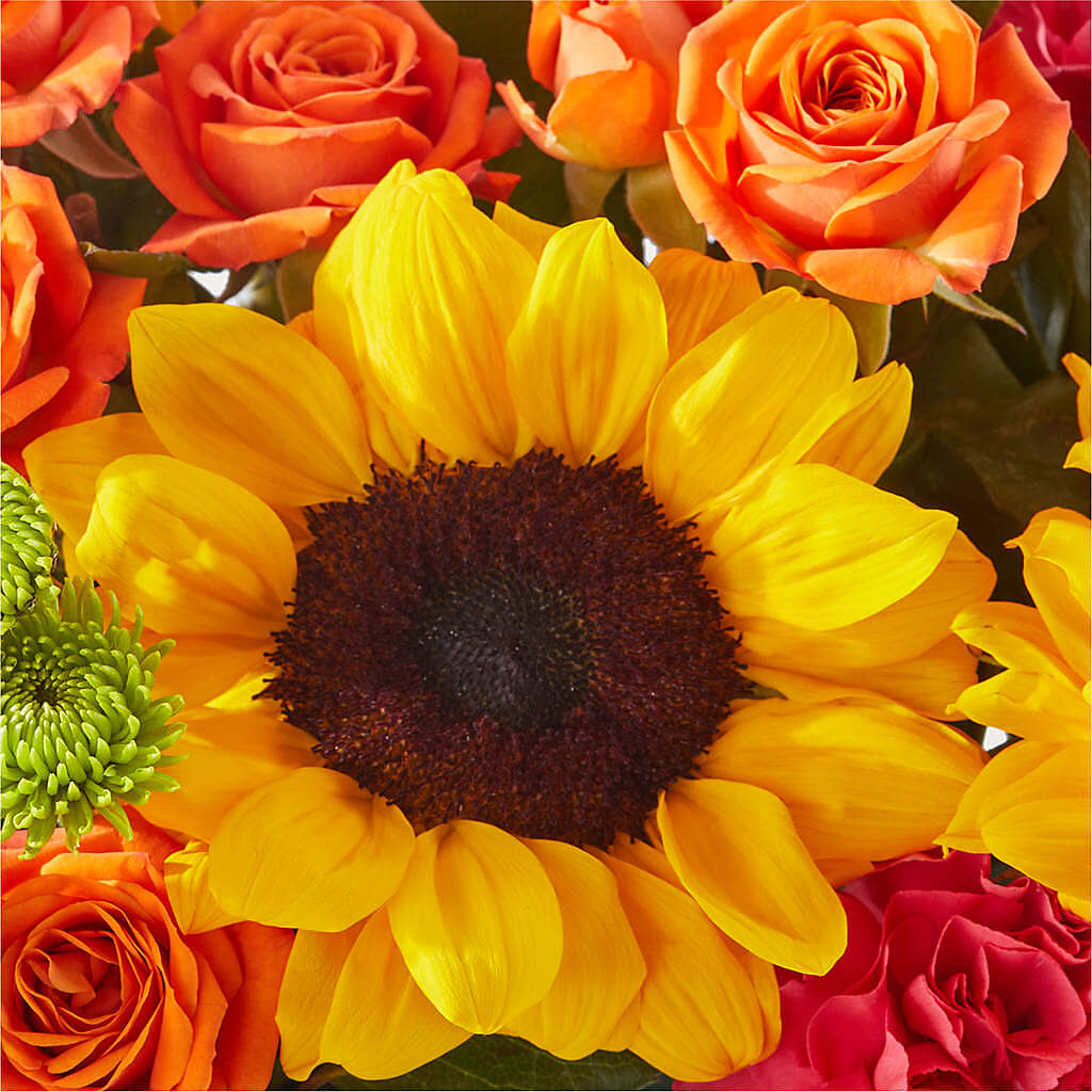 Sun-drenched Blooms Box Bouquet – MOSER'S SUPERMARKET, Columbia MO