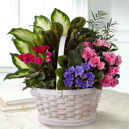 Peaceful Garden Planter – MOSER'S SUPERMARKET, Columbia MO