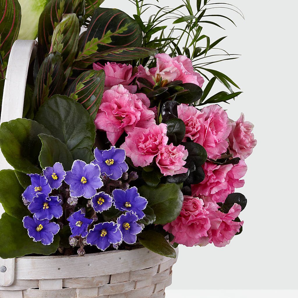 Peaceful Garden Planter – MOSER'S SUPERMARKET, Columbia MO