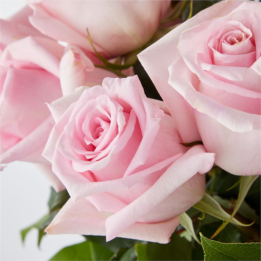 Picture Perfect Pink Rose Bouquet – MOSER'S SUPERMARKET, Columbia MO