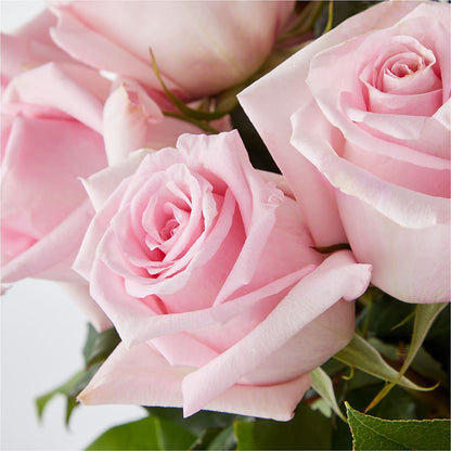 Picture Perfect Pink Rose Bouquet – MOSER'S SUPERMARKET, Columbia MO