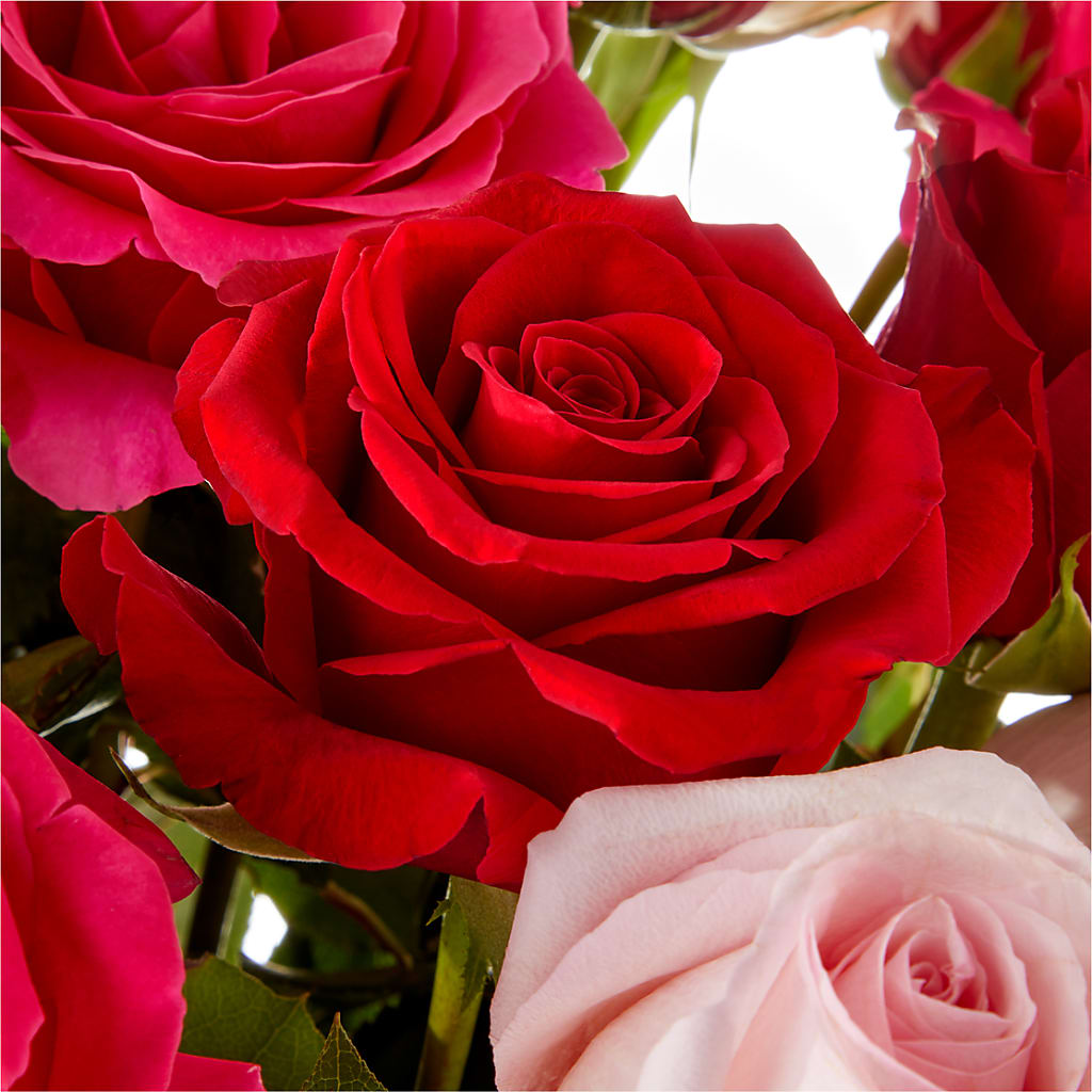 Love Notes Rose Bouquet – MOSER'S SUPERMARKET, Columbia MO