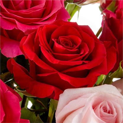 Love Notes Rose Bouquet – MOSER'S SUPERMARKET, Columbia MO
