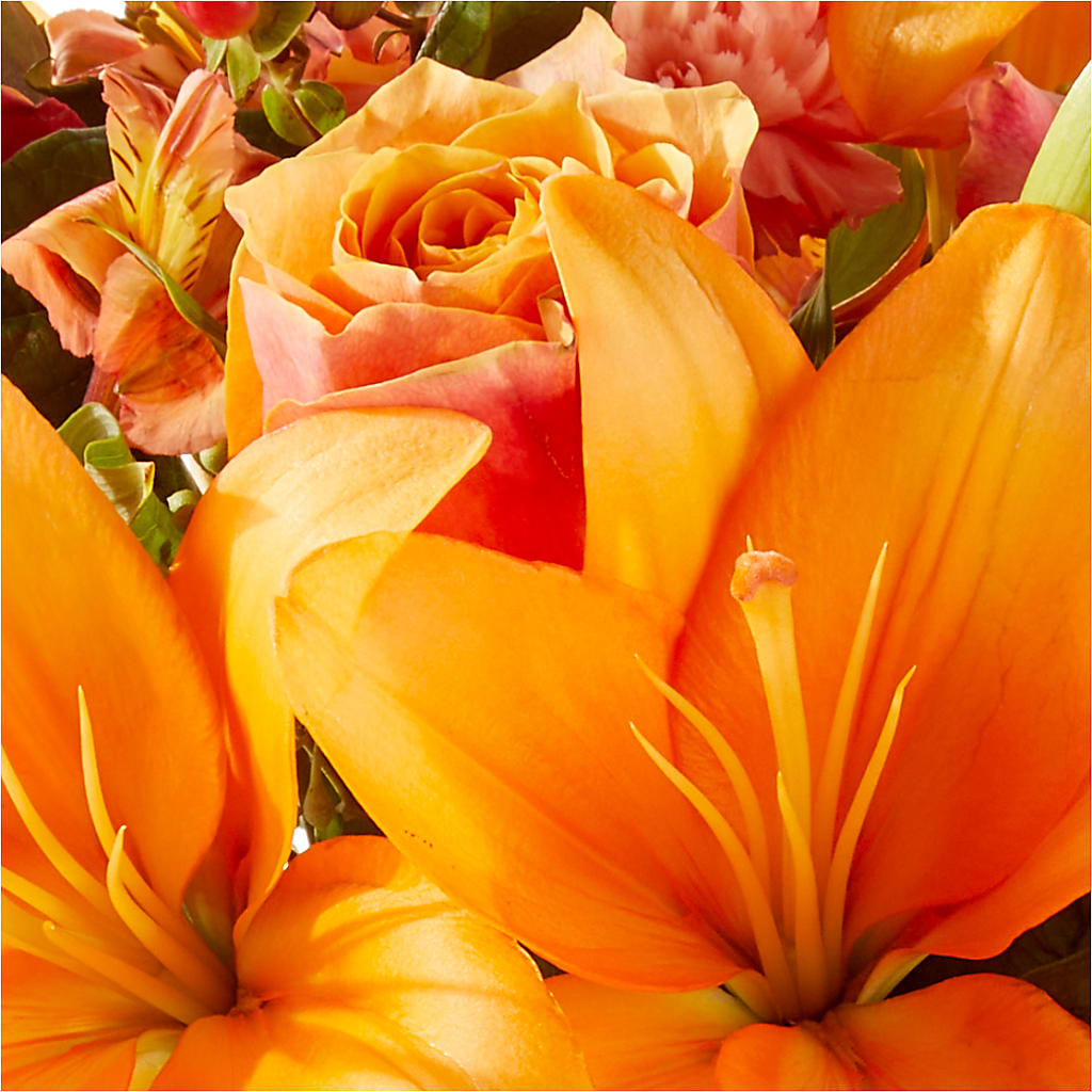 Afternoon Light Bouquet – MOSER'S SUPERMARKET, Columbia MO