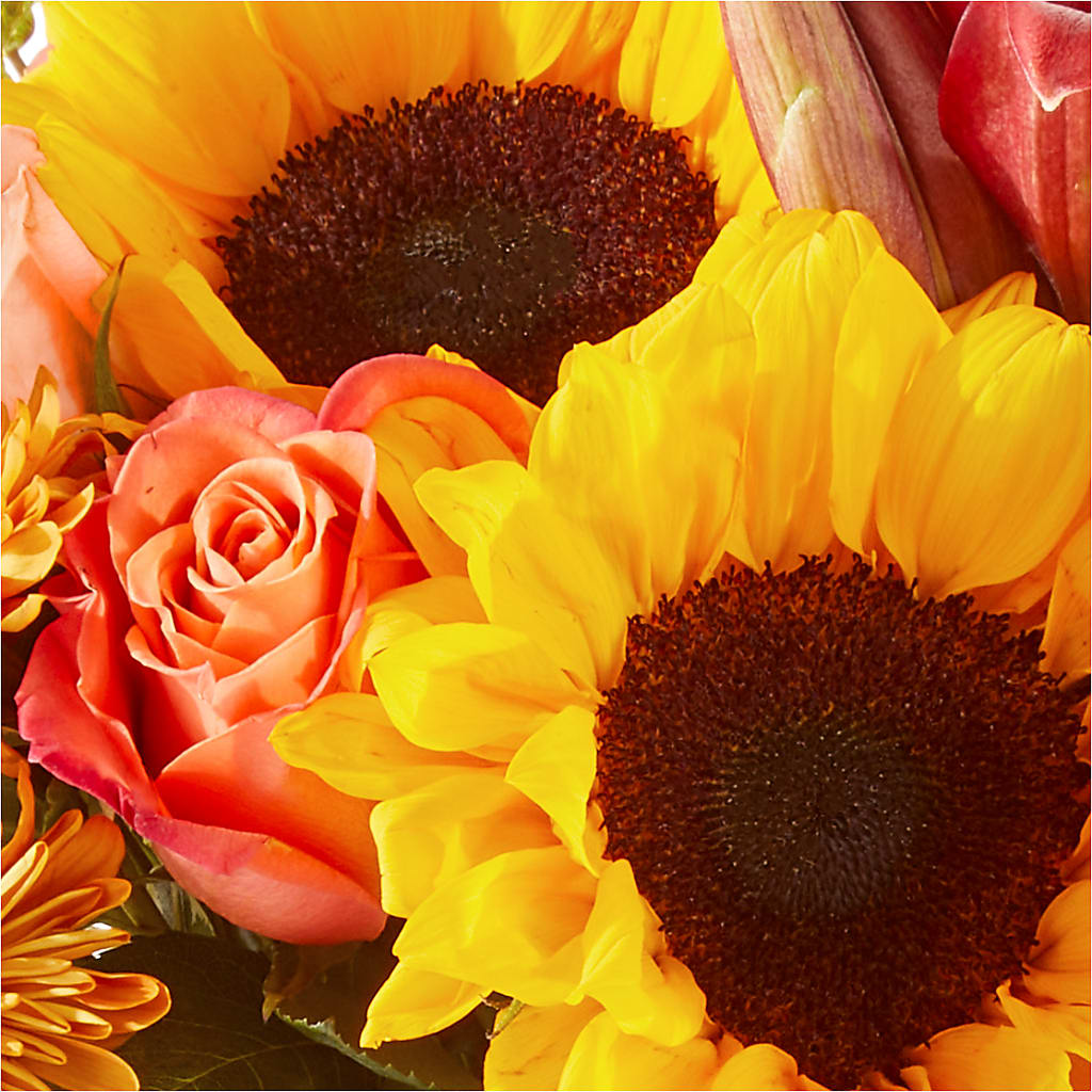 Acorn Lane Bouquet – MOSER'S SUPERMARKET, Columbia MO