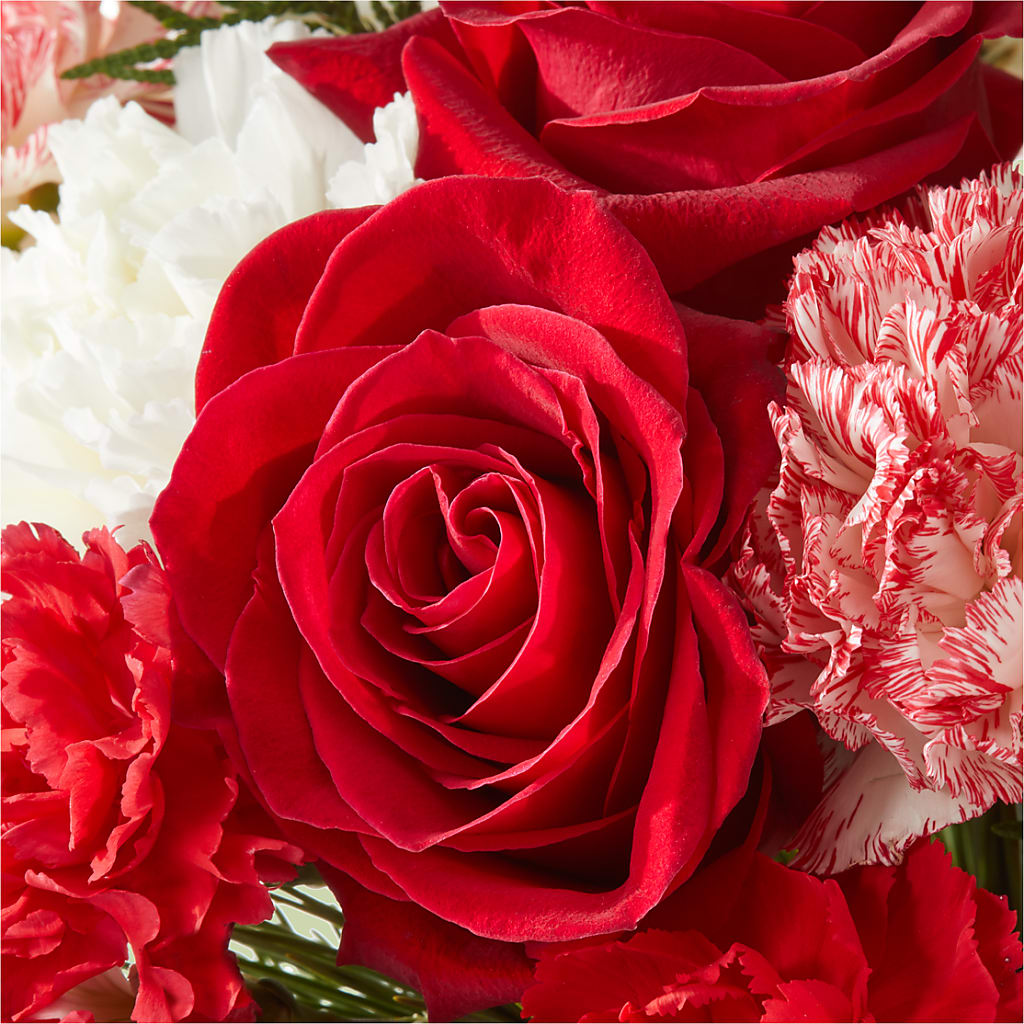 Candy Cane Lane Bouquet – MOSER'S SUPERMARKET, Columbia MO