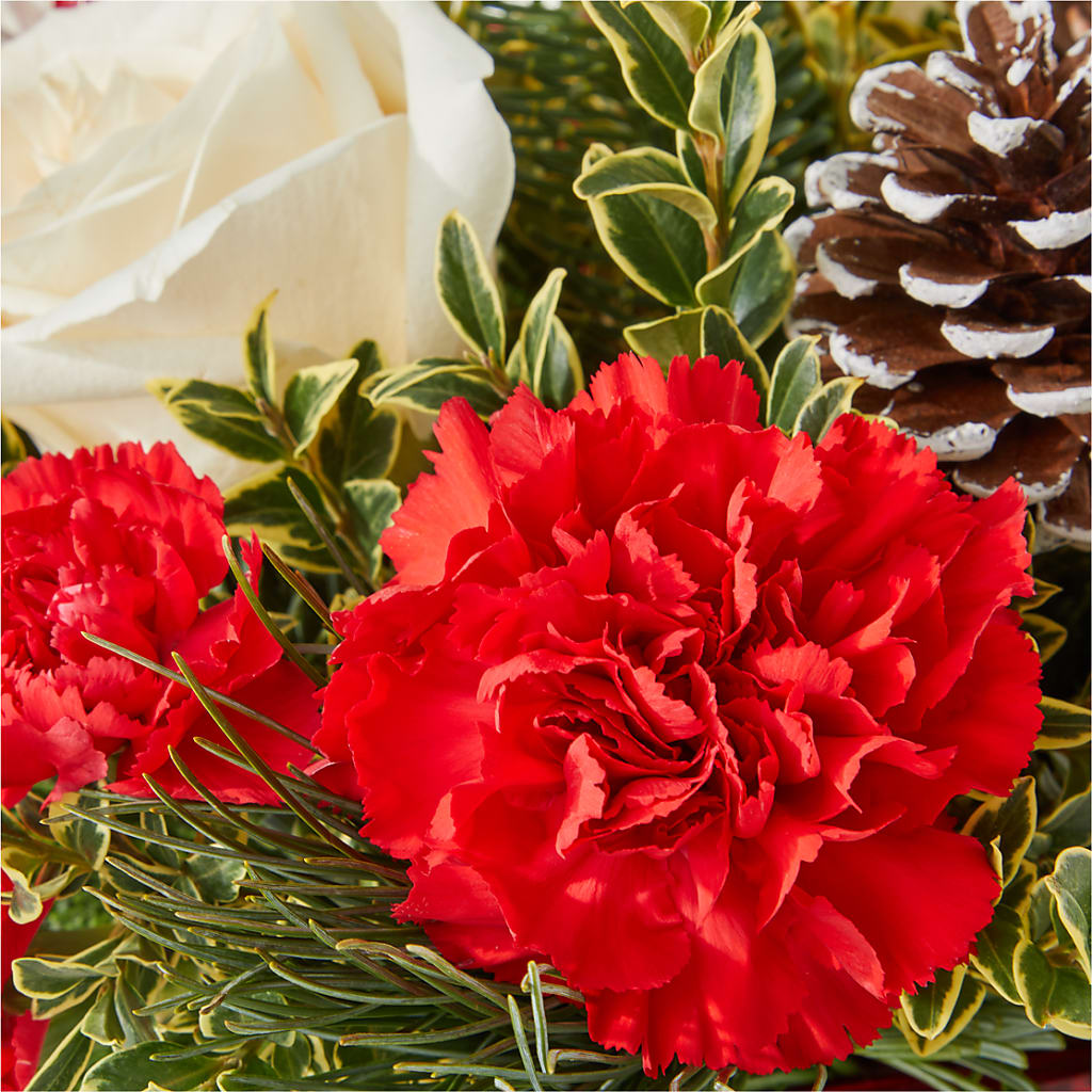 Christmas Market Bouquet – MOSER'S SUPERMARKET, Columbia MO