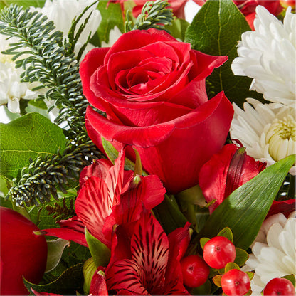 Letters to Santa Bouquet – MOSER'S SUPERMARKET, Columbia MO