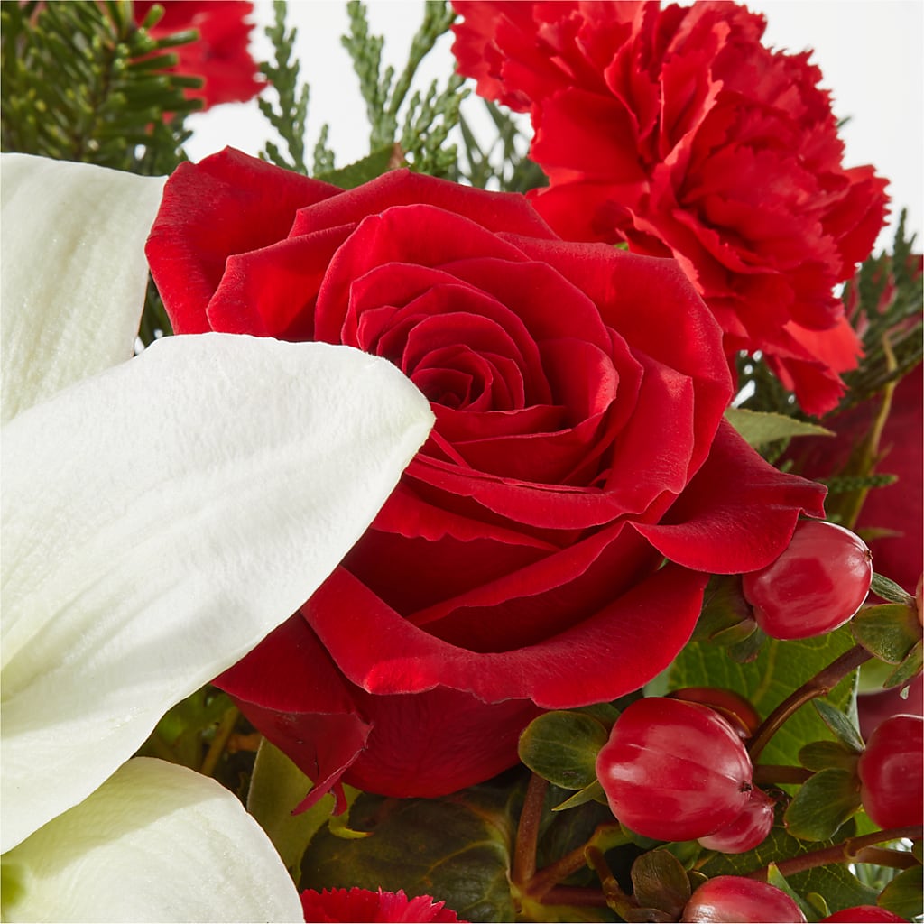 Oh So Jolly Bouquet – MOSER'S SUPERMARKET, Columbia MO