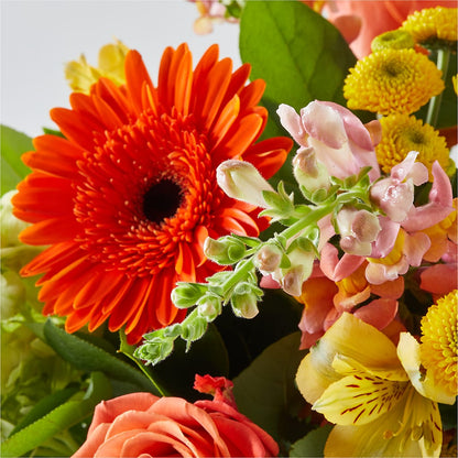 Autumn Sunshine Bouquet – MOSER'S SUPERMARKET, Columbia MO