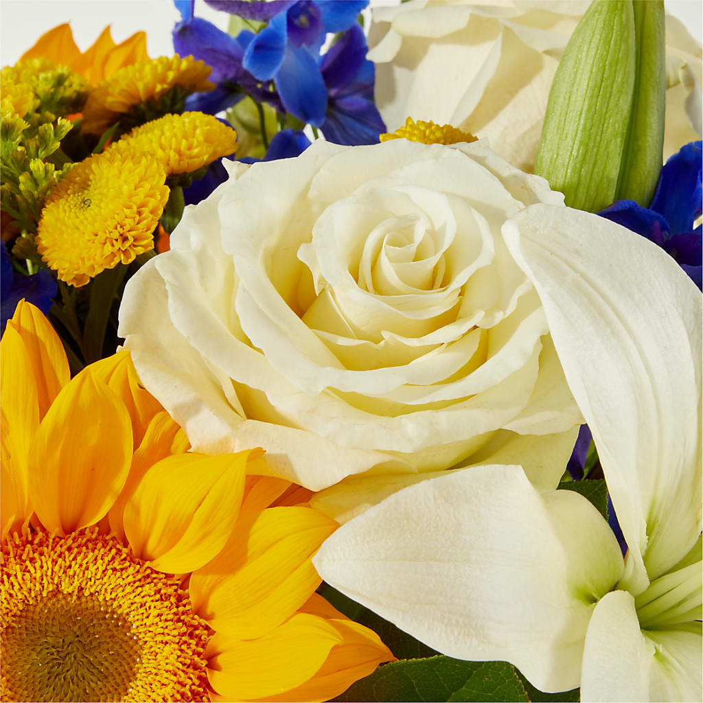 Stargazing Bouquet – MOSER'S SUPERMARKET, Columbia MO