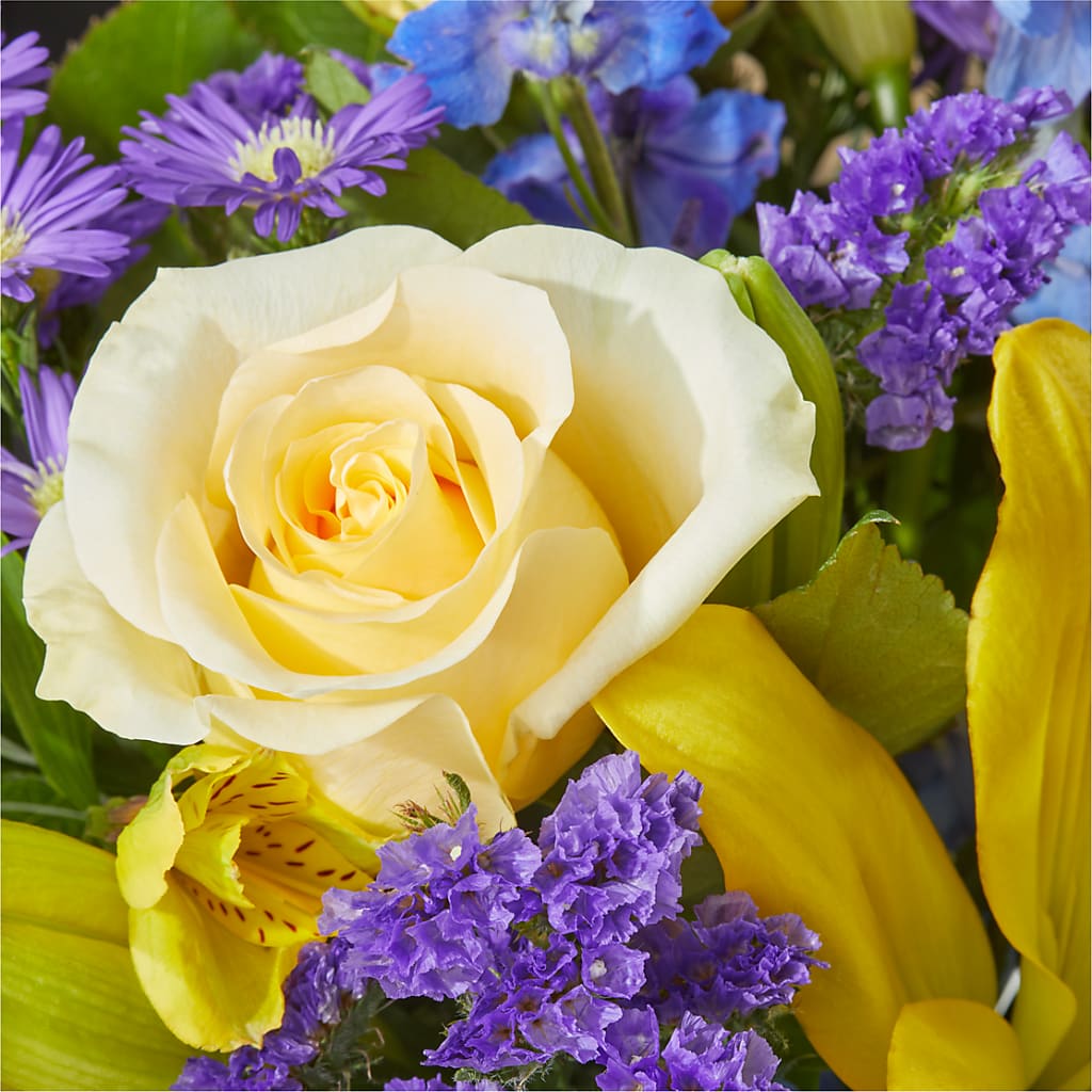 Limoncello Bouquet – MOSER'S SUPERMARKET, Columbia MO