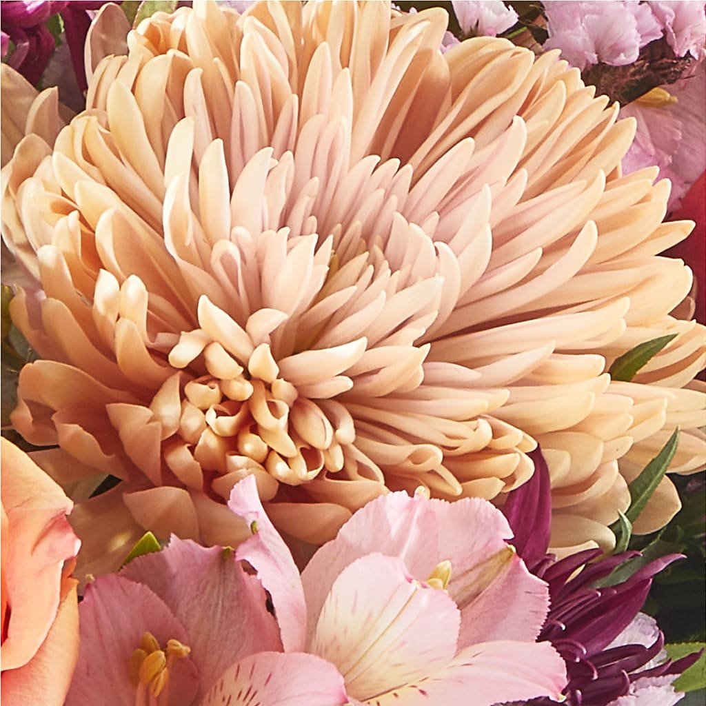 Berry Cobbler Bouquet – MOSER'S SUPERMARKET, Columbia MO