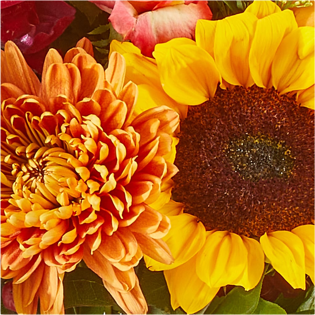 Seasons Change Bouquet – MOSER'S SUPERMARKET, Columbia MO